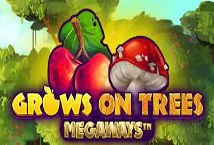 Grows on Trees Megaways slot